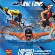 Triathlon fains